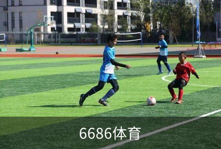6686体育简介