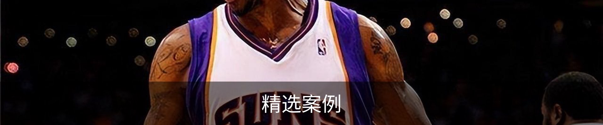 精选案例